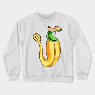 Nepenthes Bicalcarata Pitcher Plant Carnivorous plant gift Crewneck Sweatshirt